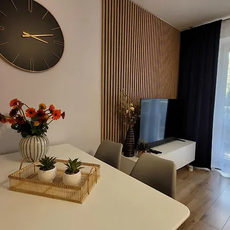 Trzypokojowy Z Parkingiem 公寓 比得哥什